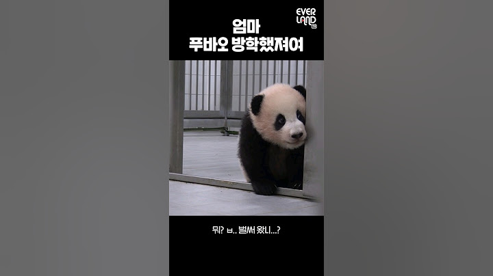 엄마! 푸바오 방학했져요.gif│#힐링푸데이 #Panda #Fubao #Aibao