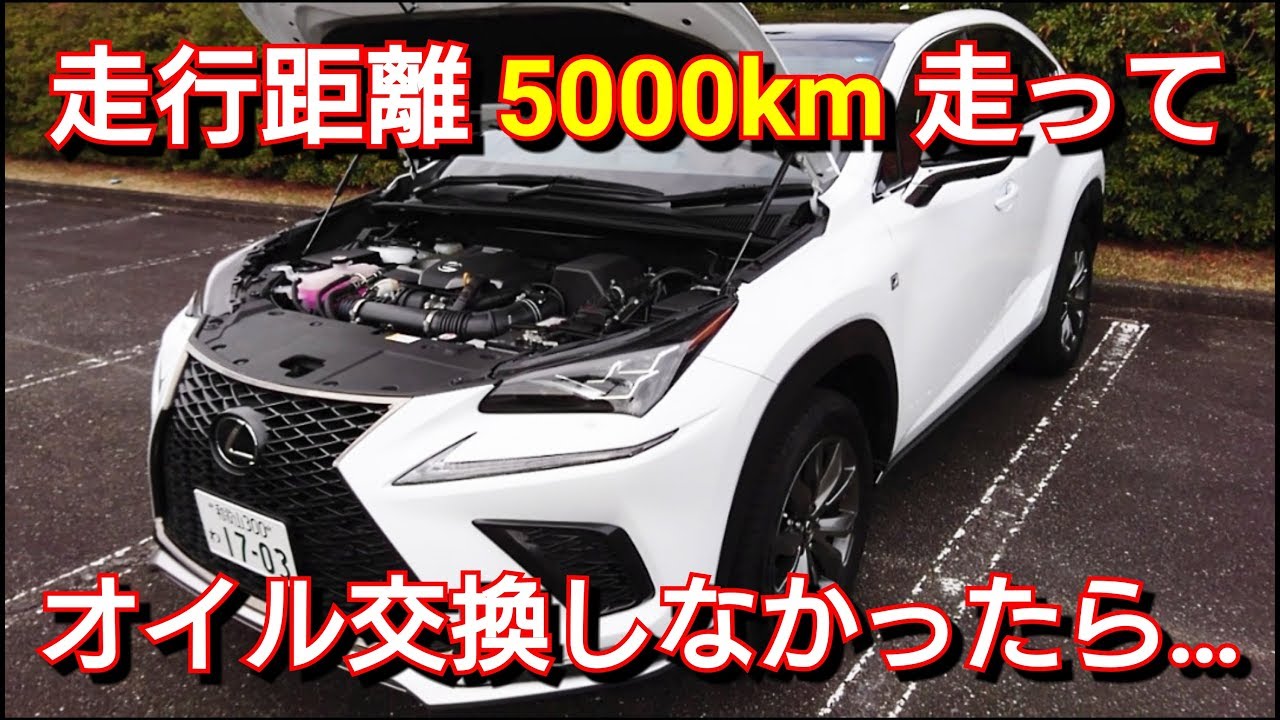 レクサスNX31年後期型NX300h車高調LARGUS（ラルグス）オイル漏れ無し レクサスNX31年後期型NX300h車高調LARGUS（ラルグス）オイル漏れ無し