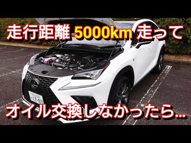 レクサス 新型NX300 】3ヶ月、オイル交換しなかった結果… - YouTube