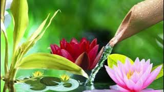 Mandala Dreams State of Zen Music. Perfect for meditation.
