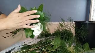 easy bridesmaide bouquet 💐ramo para tus damas   con mini rosas✅✅✅ tutorial #49 DIY
