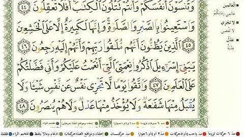 الشيخ ياسر سلامة سورة البقرة كاملة مع القراءة بصوت بجودة عالية