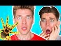 Gummy Food vs. Real Food Challenge! *EATING GIANT GUMMY SPIDER* Worm Gross Real Food Candy