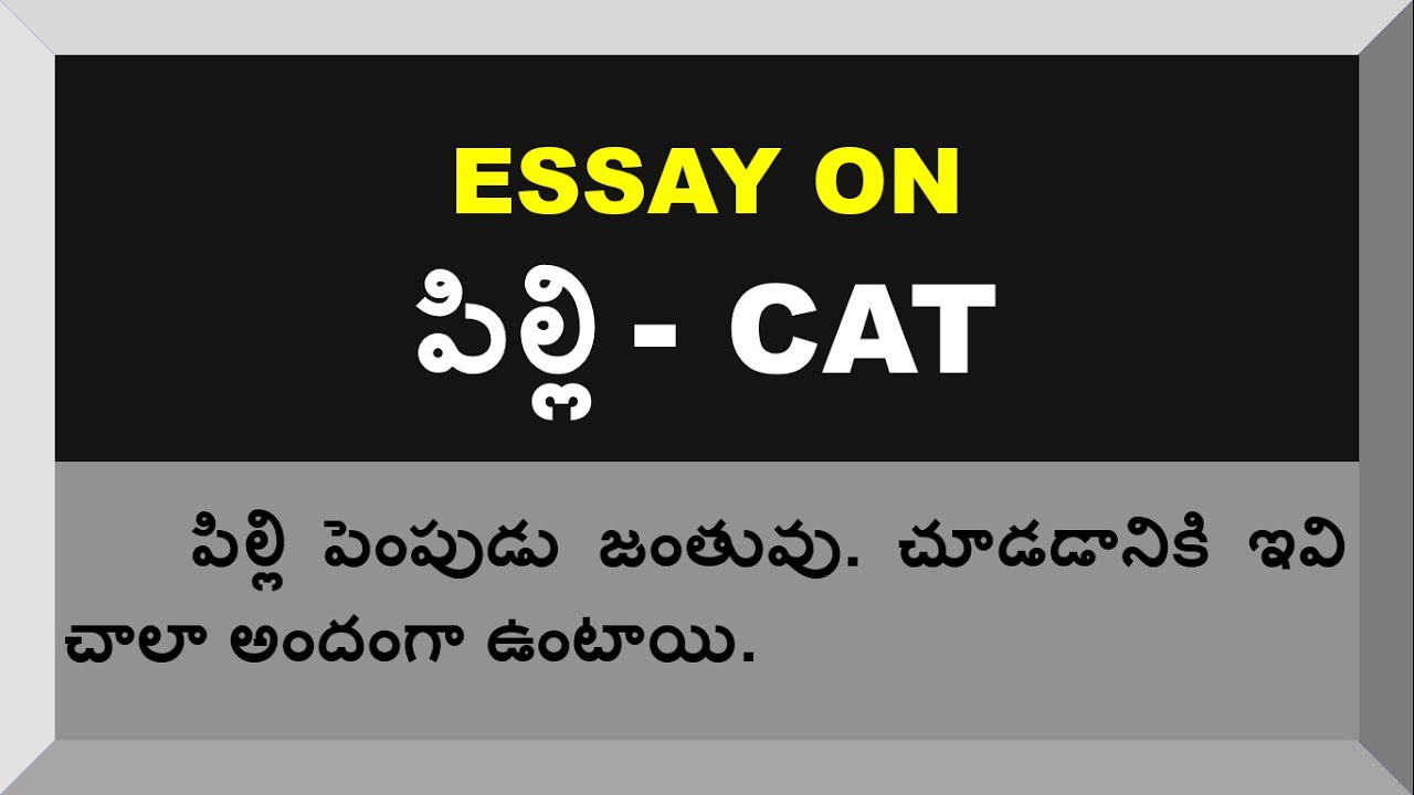 essay writing on cat in telugu