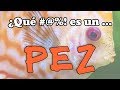 ¿Qué #@%! es un PEZ?