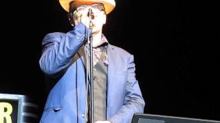 Elvis Costello - Accidents Will Happen  (Brussels, 21 Oct 2014)