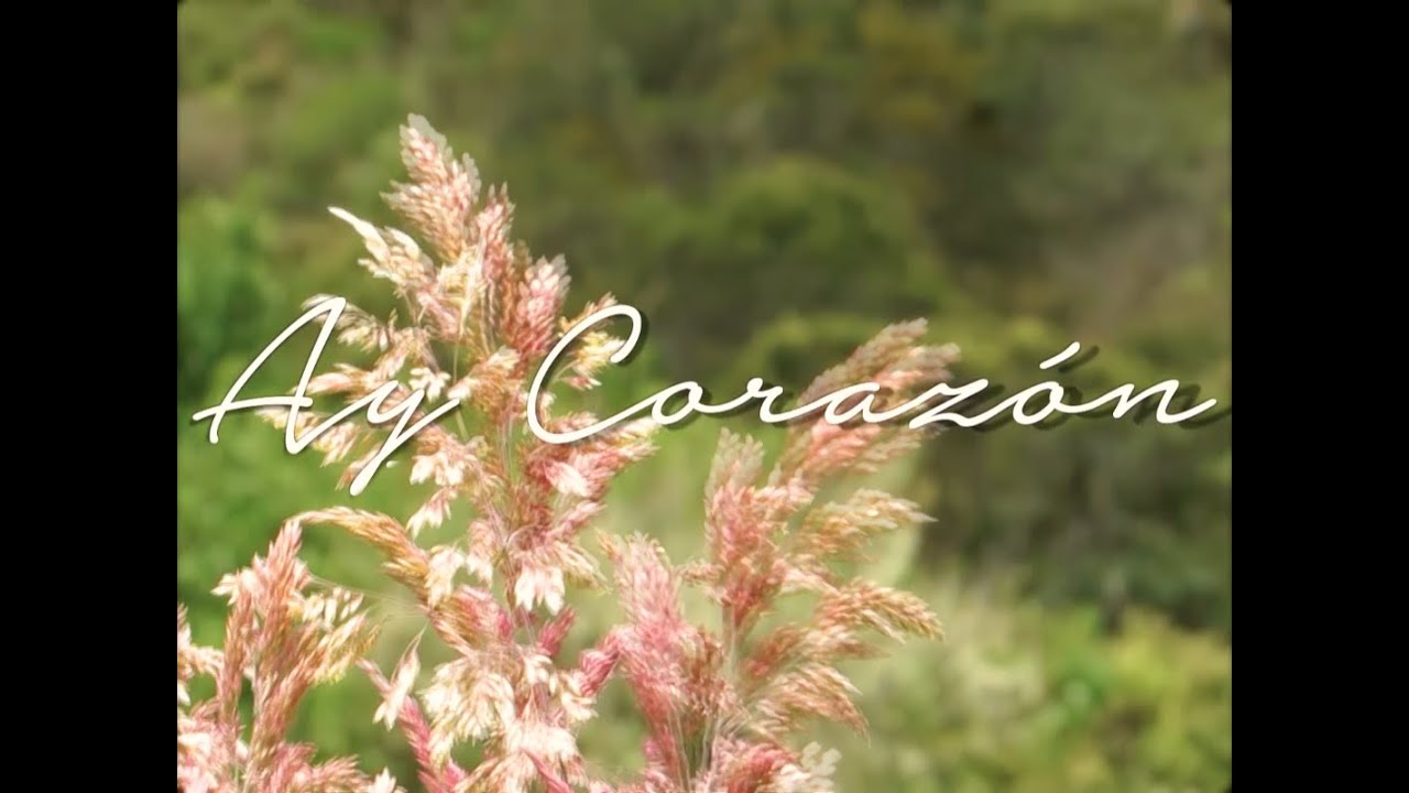 Milo - Ay Corazon (Official Video)