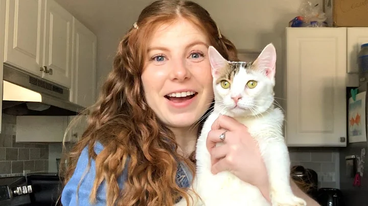 I adopted a cat during the coronavirus pandemic | Localish