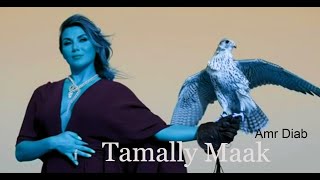 Amr Diab - Tamally Maak (Dim Zach & Deem edit)   Music Video