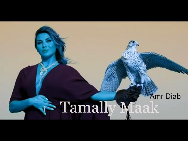 Amr Diab - Tamally Maak (Dim Zach & Deem edit)   Music Video class=