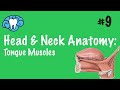 Head & Neck Anatomy | Tongue Muscles | INBDE