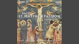St. Matthew Passion, BWV 244: 52. Aria. Konnen Tranen meiner Wangen (Alto)