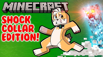 I Wore a Shock Collar in Modded Minecraft