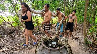 Girl Discovers Giant Python in the Garden | Hidden Cave Treasure & Baby Pythons Found!