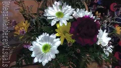 Projection Mapped Birthday Flowers