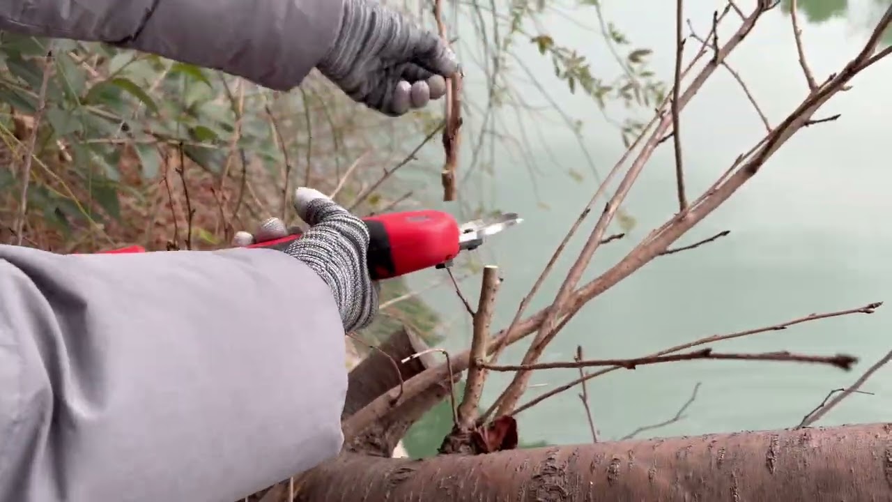 JOVANT electric shears for you trim your garden.#tools #powertools #gardener #electricscooter