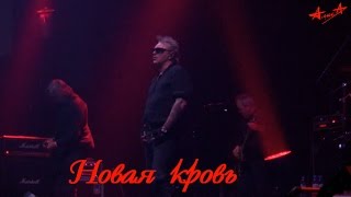 АлисА.Москва.26.12.2015 Новая кровь (День рождения К.Кинчева)