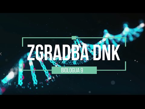 Video: Kakšna je zgradba in funkcija kromosomov?