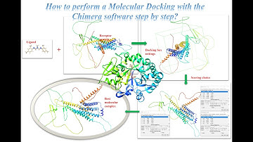 How to perform a Molecular Docking with the Chimera software step by step?