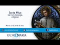 Santa Misa: San Luis Gonzaga, religioso
