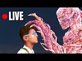 🔴Dead By Daylight-NEW Mid-Chapter Update! | Lets Play On The Neon City Some More