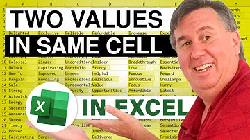Excel - Category and Settings in Same Cell - Dueling Excel 154 - Episode 1867