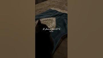 اكتب شي تؤجر عليه 🤍🌿 #قران_كريم #راحة_نفسية #القارئ #ماهر_المعيقلي #foryou #viral
