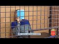 Кузбасской полицией задержаны курьеры-мошенники, обманувшие пожилых граждан почти на 4 млн рублей