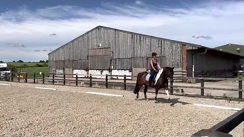 Claire Heath Eriders Novice 3e