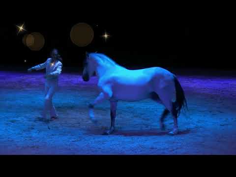The Iberian Show