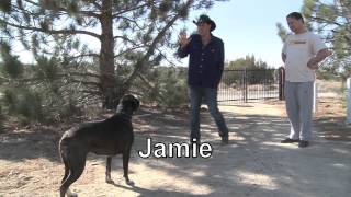 STEVEN RITT - DOG/WOLF TRAINER