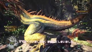 『モンスターハンター：ワールド』プレイリポート（クエスト編）