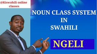 NGELI : NOUN CLASS SYSTEM IN SWAHILI ( PART 1 M-WA)