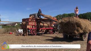 Fte de la moisson St Pre (89)