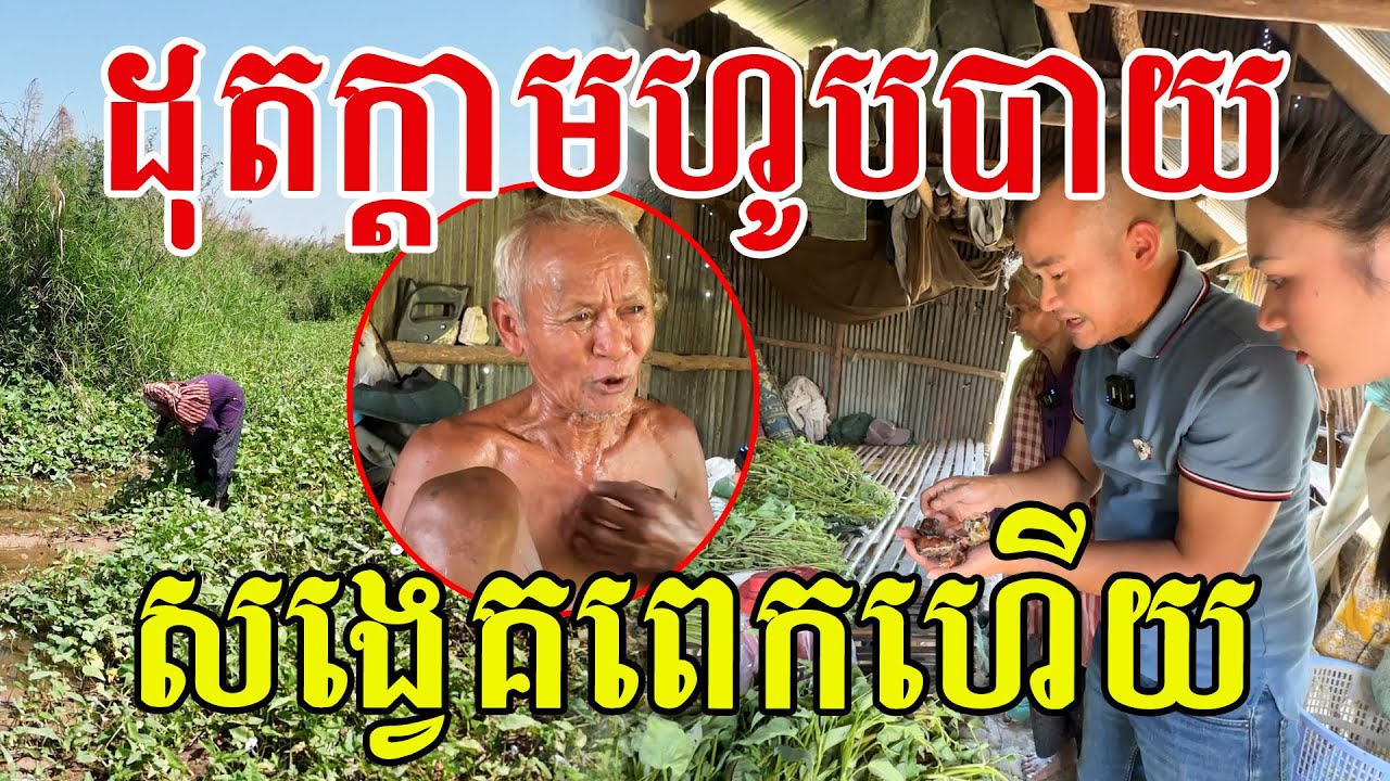 បេះត្រកួន ជីកក្ដាមលក់ ដូរបានត្រឹមអង្ករ តែចង់ហូបសាច់គោ ជីវិតតាយាយប្រឹងប្រែងណាស់