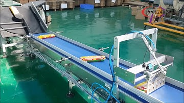 Delta Robot Case Packer| Clearpack