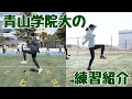 【練習紹介】青山学院大「ミニハードルドリル２」P055