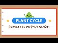 PSLE Science Experiment Quiz