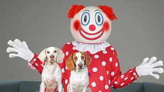 Dogs vs Creepiest Clown Ever! Funny Dogs Maymo, Potpie, Indie &amp; Penny Pranked by Clowns!