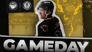 Preseason 202425 Hc Pustertal Wölfe Vs. Ev Landshut Highlights