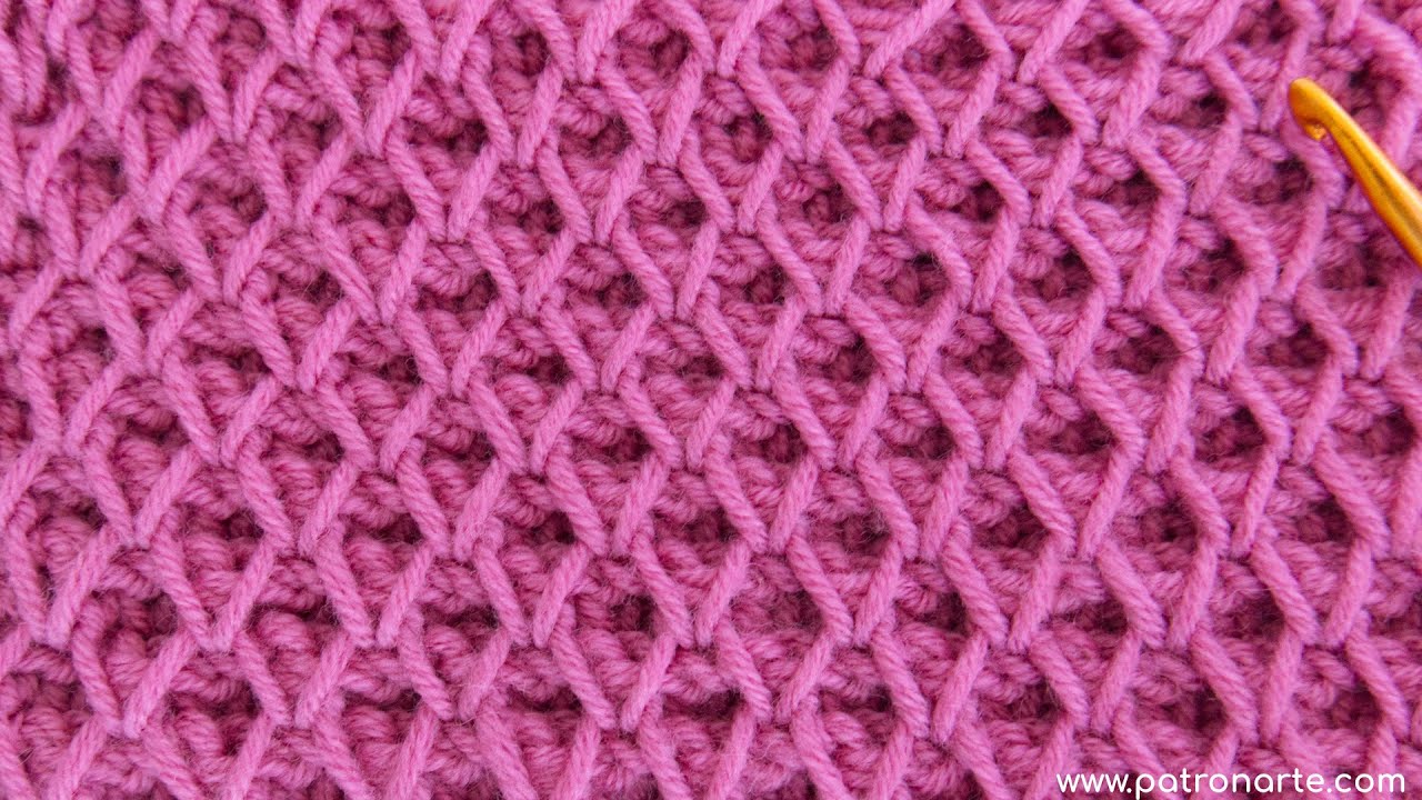 Anual Botánica Húmedo Punto Panal de Crochet Ganchillo el Punto que Toda Persona que Teje Crochet  Debería Aprender a Tejer - Patronarte