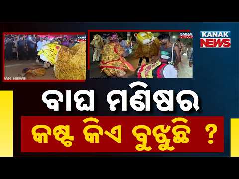 ବାଘ ମଣିଷର କଷ୍ଟ କିଏ ବୁଝୁଛି ? Street Performers' Struggle | Dancing at Night to Feed Their Families