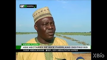 The problem of rice field flooding on crop production