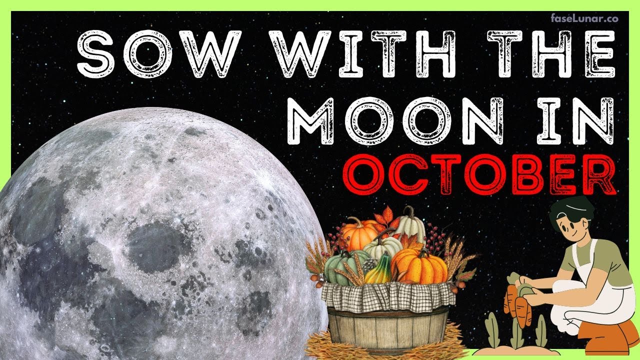 Lunar Calendar for Planting and Gardening in October 🌱🌿 How to Plant with the Moon in April 2025
