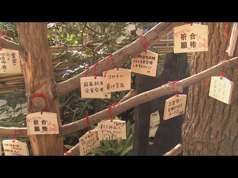 頑張れ受験生！「イチイ」の木で合格祈願【HTB北海道ニュース】