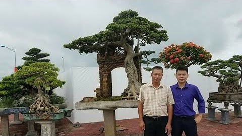 SH.2377.Tác phẩm Sanh Hồn Quê của ông Hòa Taxi gây dấu ấn tại Ninh Hiệp.Gia Lâm Hà Nội hôm nay