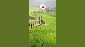 سورة الماعون كاملة بصوت الشيخ ماهر المعيقلي  #قران