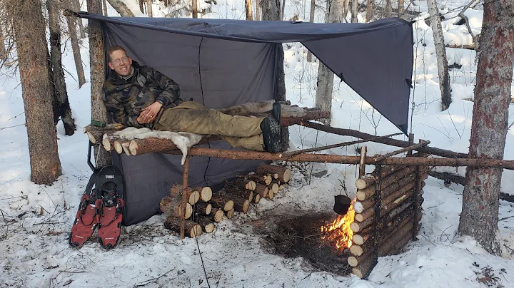 Winter Camping in Raised Bushcraft Shelter - Level 100 Campfire Cooking