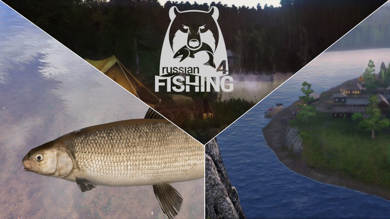 Große Bodenrenke auf Pose - Ehrenfischer Tunguska | Russian Fishing 4