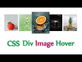 Css Div Image Hover | Html, Css image card hover effect